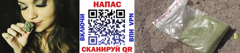 Где можно купить наркотики Петушки Галлюциногенные грибы Гашиш A PVP