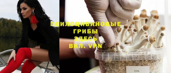 молекула духа Навашино