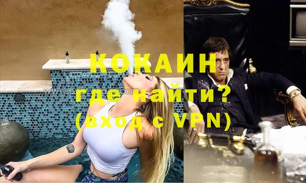 гидра Надым