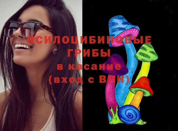 гидропоника Белокуриха