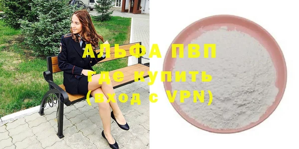гидра Надым