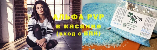 гидра Надым