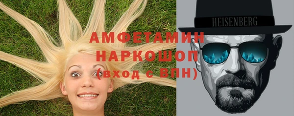 гидра Надым