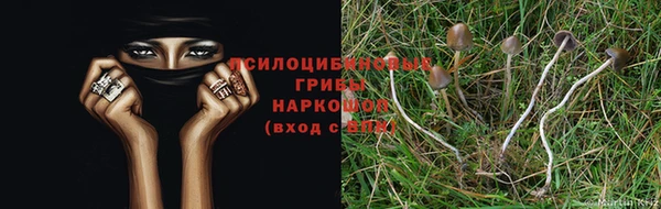 молекула духа Навашино