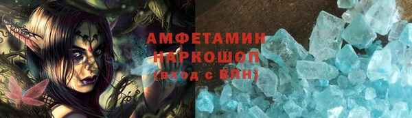 гидра Надым