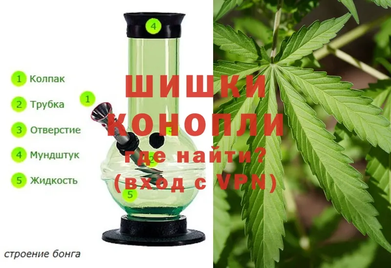 где купить наркоту  Петушки  Каннабис SATIVA & INDICA 